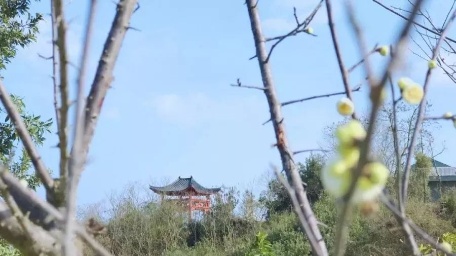 赣州最好玩的公园不要门票,离赣州最近的森林公园还有多远