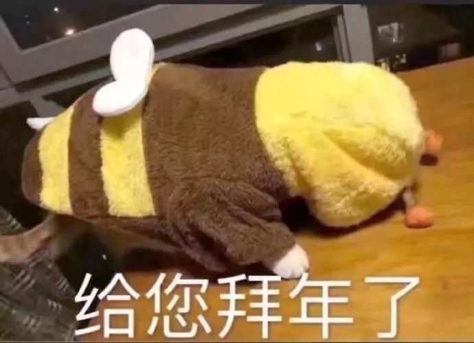 小米max4官方曝光,小米max4手机最新消息