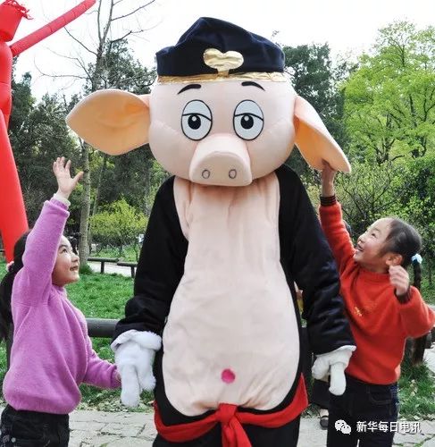 猪年的吉祥物叫什么,寻找鼠年吉祥物