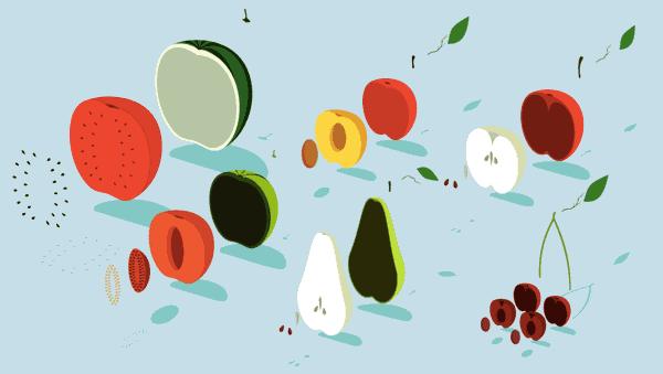 80%的尿酸来自于含嘌呤高的食物吗,体内80%的尿酸是怎样生成的