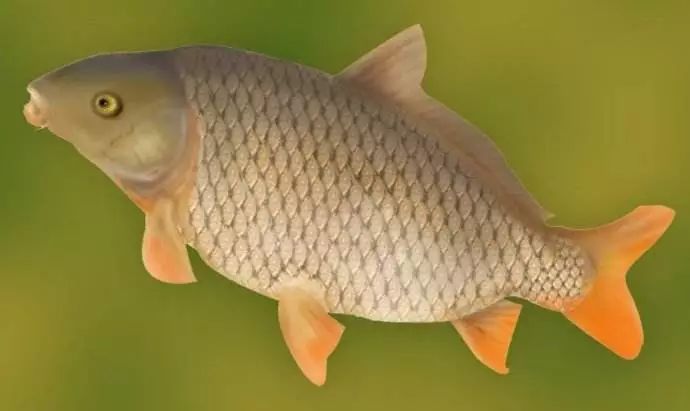 大年初五财神到财运滚滚来,初五迎财神五福通运八方来财