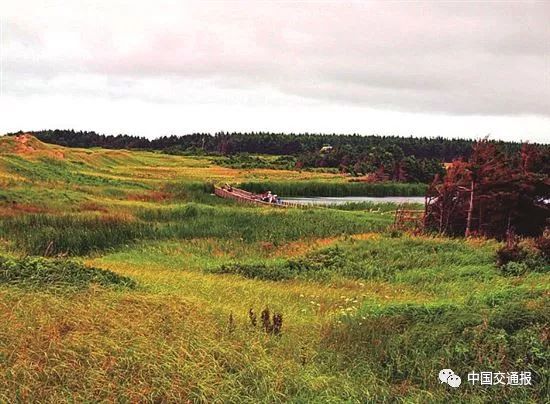 加拿大爱德华王子岛游玩,加拿大爱德华王子岛日常生活