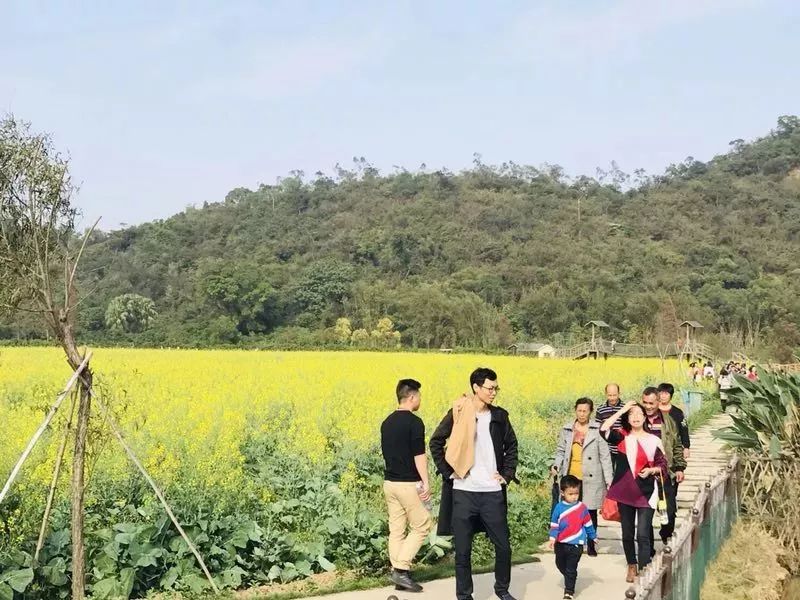 斗门为什么叫斗门,外地人眼中的斗门