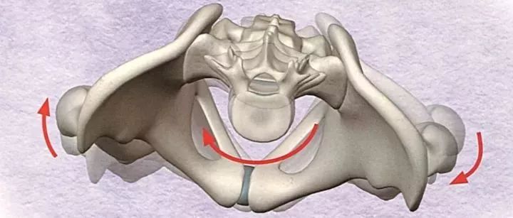 骨盆倾斜能根治吗,骨盆歪斜影响生育吗