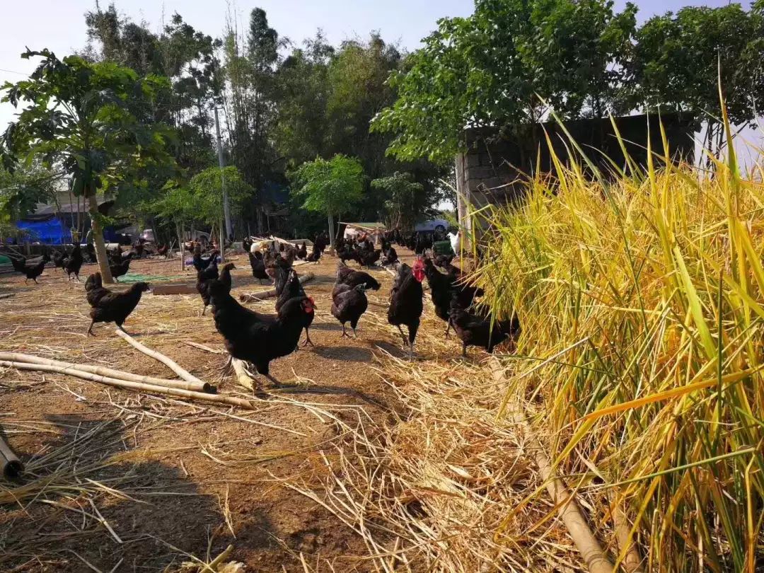 「招聘」2月12日横县大型招聘会，100家单位提供7689个岗位，优秀的你千万不要错过！