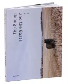 德国畅销少儿图书,德国最美图书