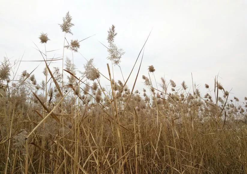 北京免费公园景点大全,北京爬山十大免费景点