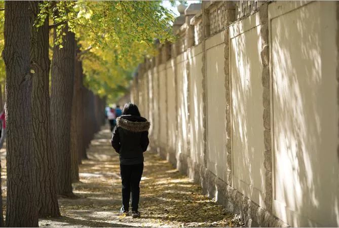 北京最良心的八大免费景点,北京60岁旅游免费景点