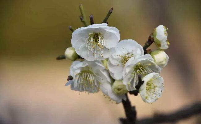 春节假期没嗨够怎么办？又一大波美轮美奂的景点等着你！乘公交直达