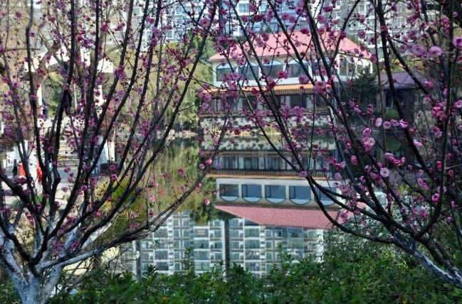 春节假期没嗨够怎么办？又一大波美轮美奂的景点等着你！乘公交直达