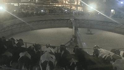 牛奶怎么选老爸测评,牛奶怎么选儿童