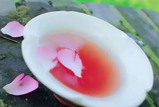 春天吃花要注意！吃错会中毒，头晕恶心呕吐，每年都有人中招