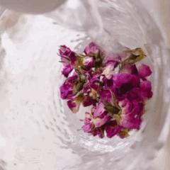 为瘦脸变成“绝盐”专家，4个月瘦12公斤，依旧被嘲不上镜