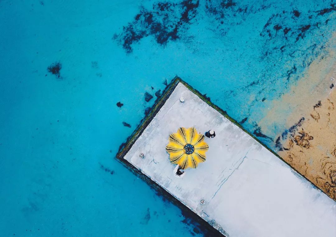 上海赏枫小众景点,小众赏枫