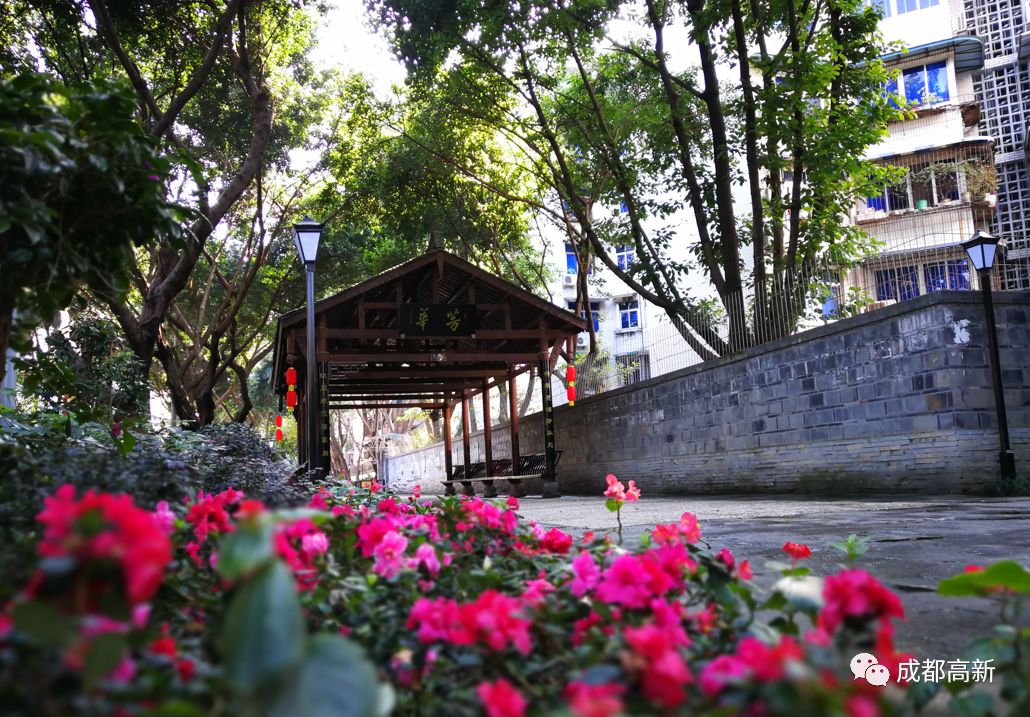 成都玉林西路的小酒馆,打卡玉林路的小酒馆