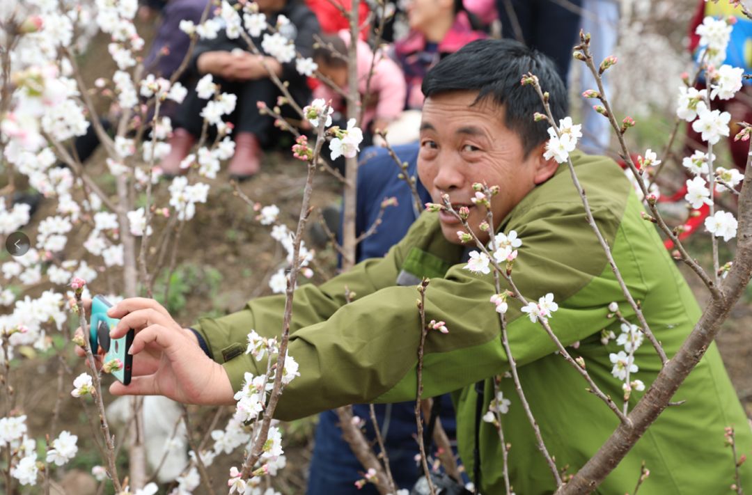 发耳镇樱桃花航拍视频出炉！敢不敢来行一场飞花令？开始！