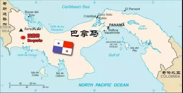 巴拿马花蝴蝶水洗,巴拿马花蝴蝶咖啡怎么样