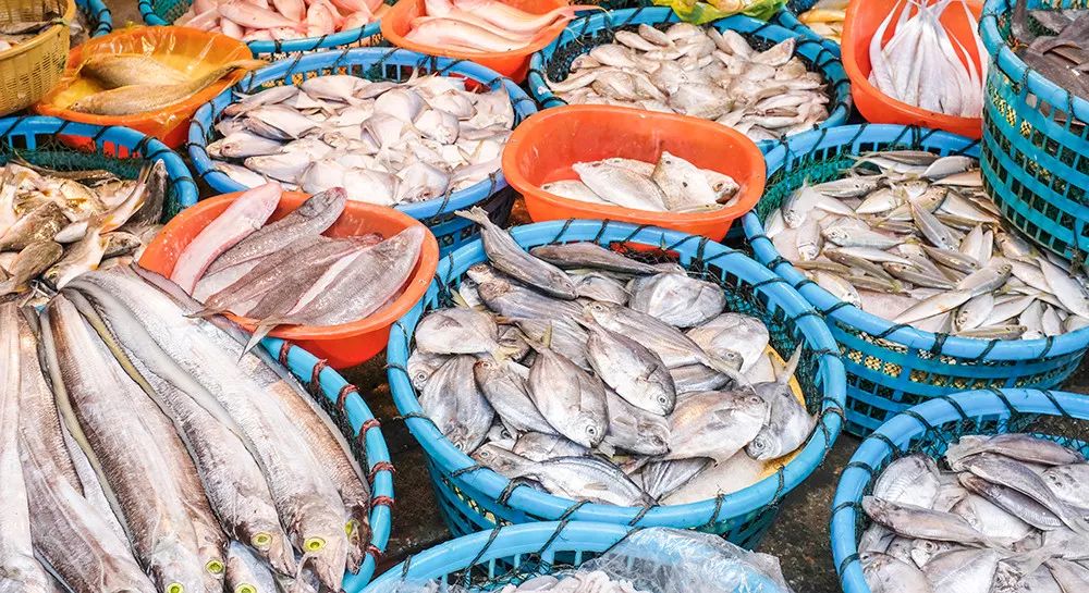 收藏下这篇，其他介绍厦门的稿子都可以删了丨人间指南