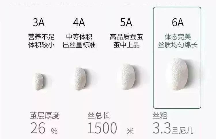 剁手都要买的蚕丝裤清凉又透气,蚕丝抗菌贴身无束缚舒适小裤