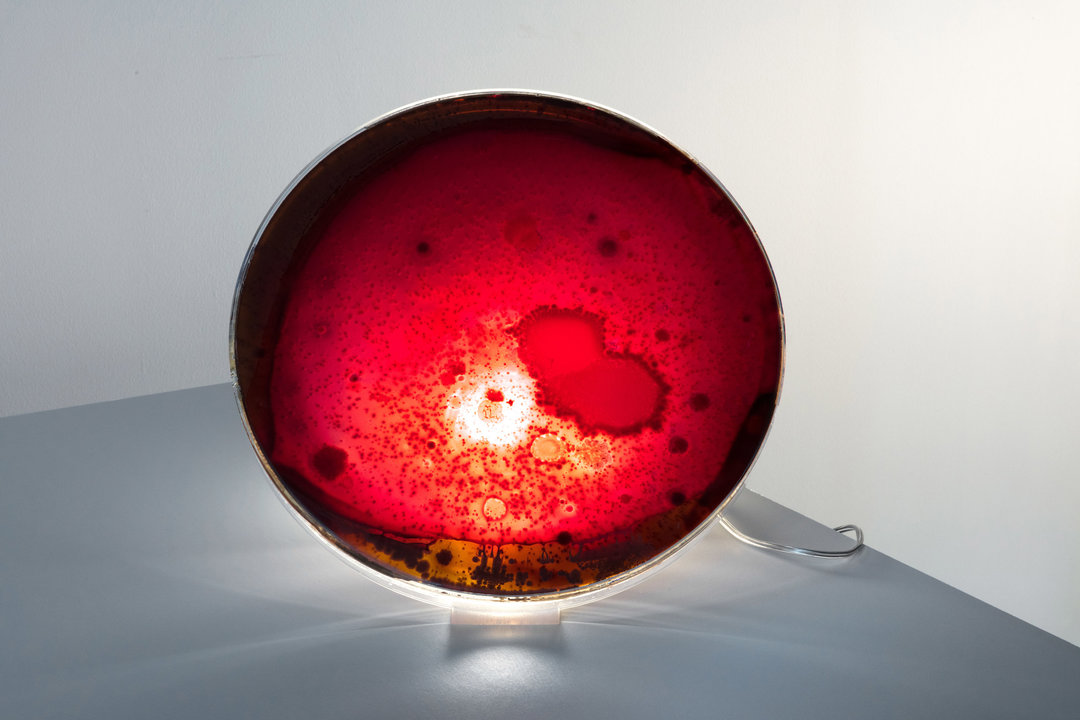 雷克萨斯联名款,雷克萨斯耐克