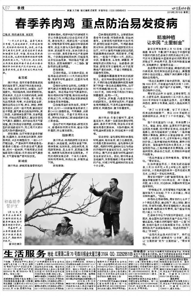 春季养肉鸡重点防治易发疫病