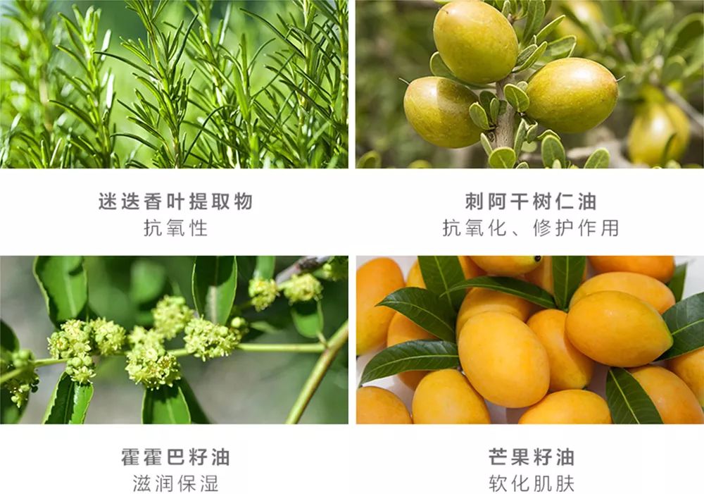 15分钟学会裸妆,三分钟搞定自然裸妆轻松自信出门