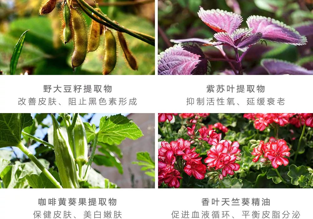 15分钟学会裸妆,三分钟搞定自然裸妆轻松自信出门