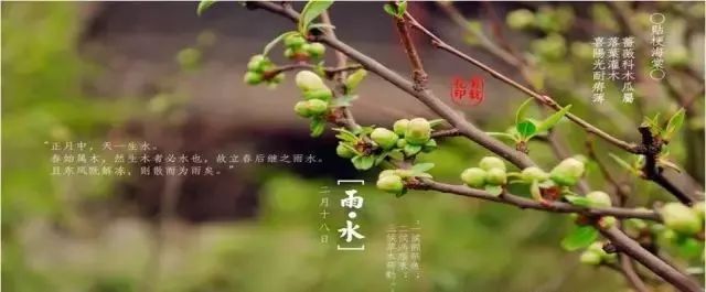 雨水时节的由来及含义,雨水时节适合种什么菜