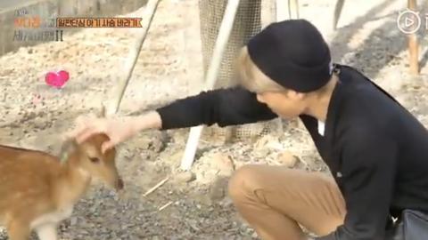 exo瓒崇悆鎼炵瑧瑙嗛,exo鍒嗕韩