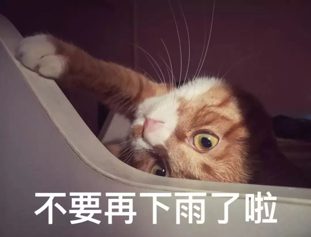 广东人最担心的回南天,广东人回南天瞬间