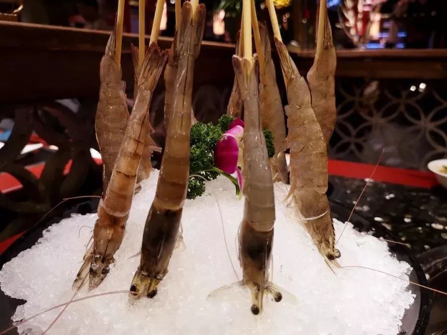 南宁火锅网红店推荐,美食推荐网红火锅南宁