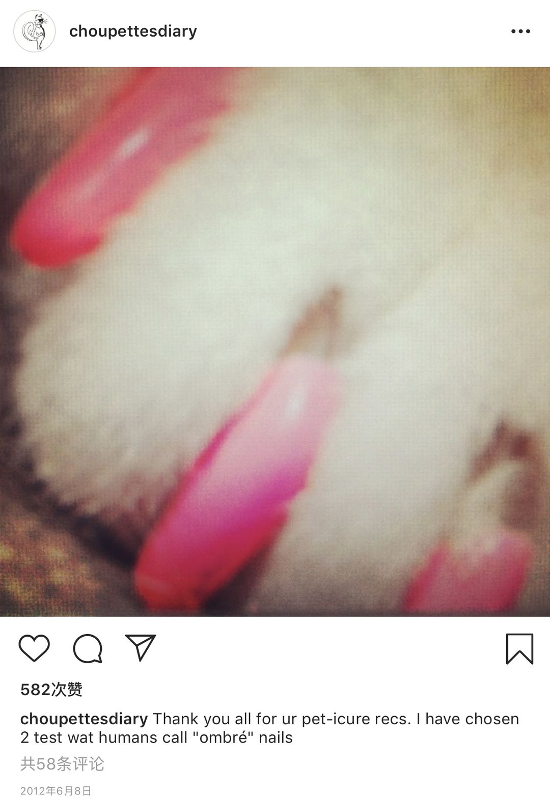 老佛爷的所有家产最后留给了猫 (老佛爷的猫死后谁来继承他的遗产)