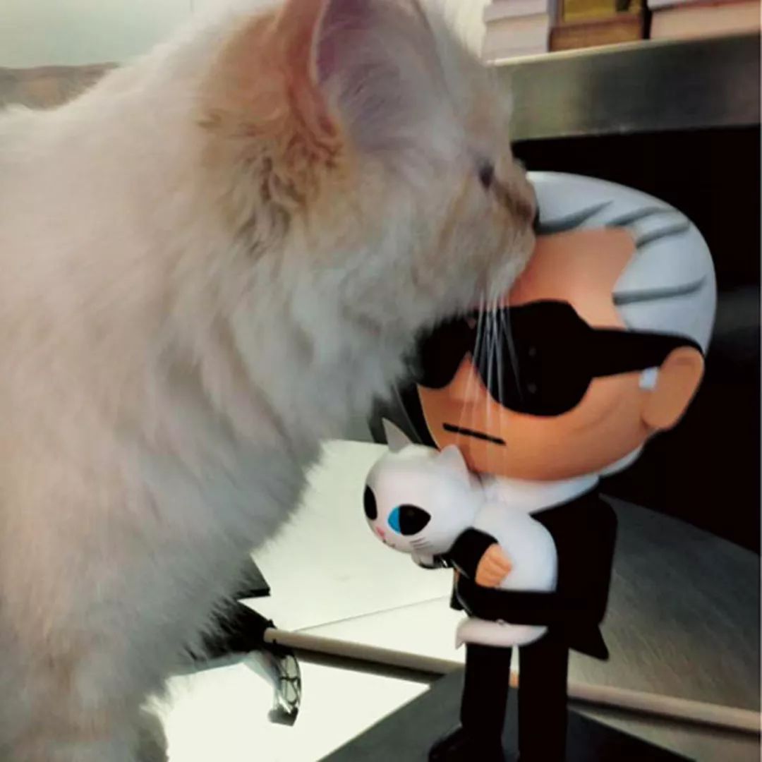 老佛爷的所有家产最后留给了猫 (老佛爷的猫死后谁来继承他的遗产)