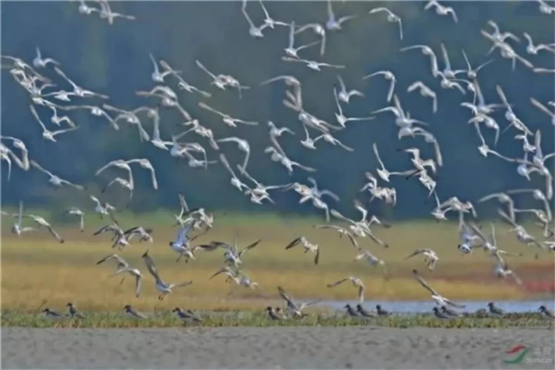 「今日我当班」山心沙岛迎来一片检察蓝