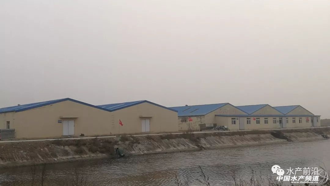 养南美白对虾培训基地,南美白对虾养殖培训基地