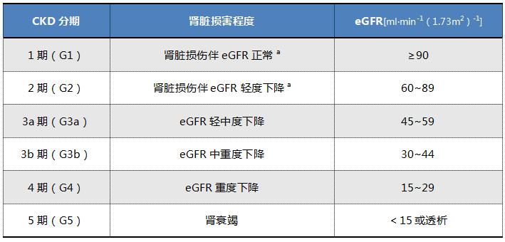 糖友尿里有潜血,尿蛋白3+是糖尿病肾病吗
