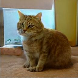 刷新一次出现一个网页,刷新一次就有新图片的网址