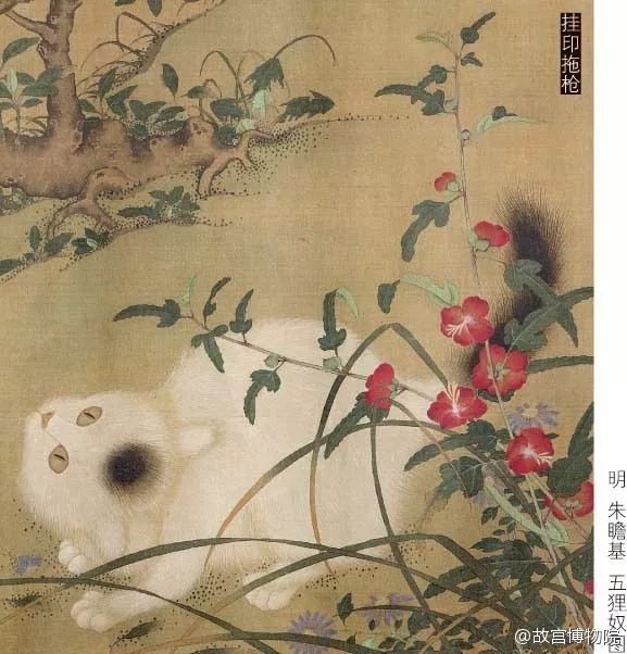 撸猫的那些事,中国撸猫圣地