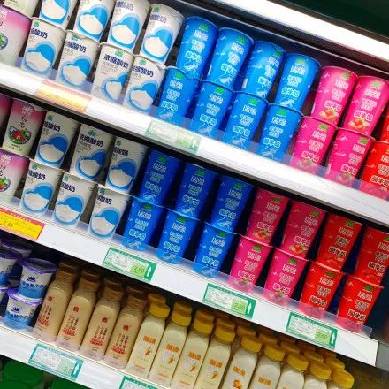 新疆酸奶测评推荐,地方特色酸奶测评