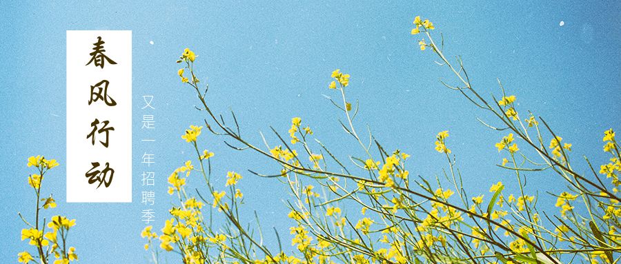 新一轮招聘信息来啦,一大波热门岗位招聘来啦赶紧来看