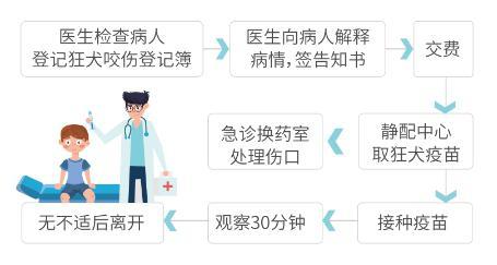 9岁被小狗咬破6天了没有打疫苗,狗被乌龟咬要打狂犬疫苗吗