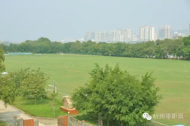 梧州体训基地免费吗,梧州国家体训中心