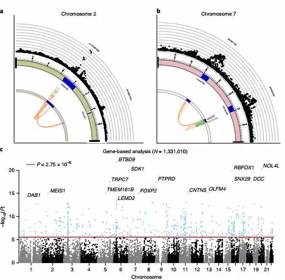 失眠研究,失眠最新科学突破视频