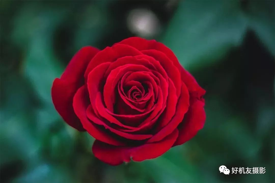 「器材选择」先学会根据题材选镜头，这6种拍摄题材选这些镜头准没错！