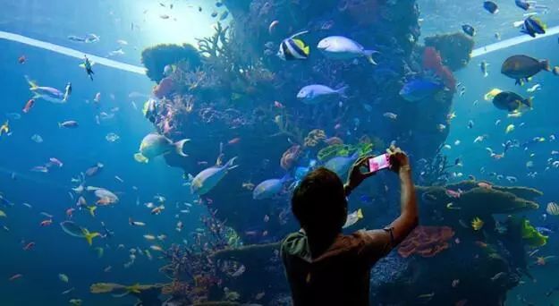 错峰出游超值私家团,错峰出游价格超值