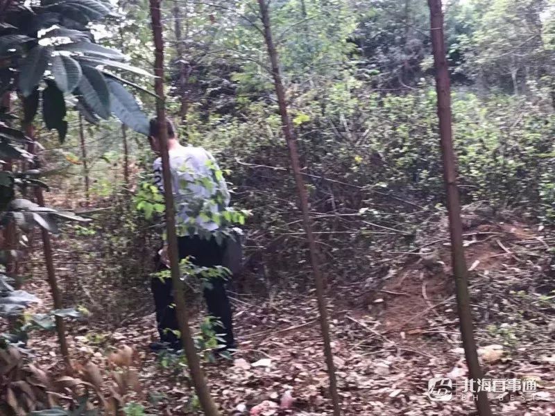 北海2岁男童走失家人情况,北海失踪儿童小杰最新进展