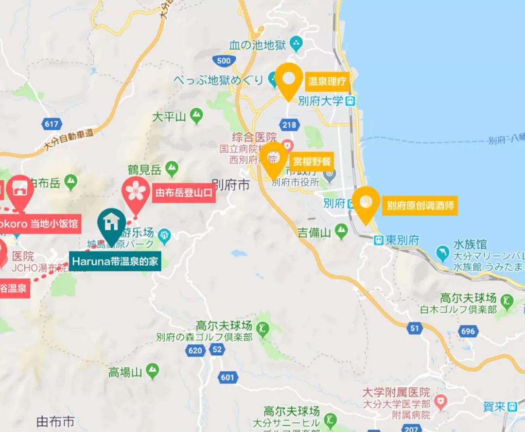 九州福冈樱花,九州樱花季旅游