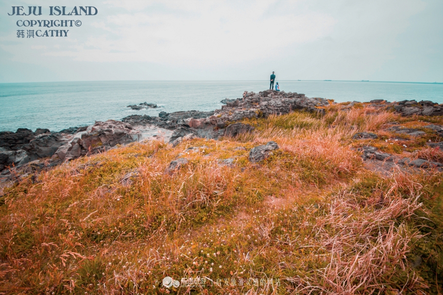 韩国济州岛海鲜汤,济州岛辣海鲜汤