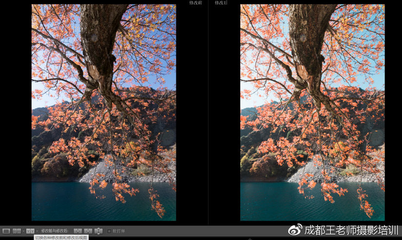 lr新手入门教学推荐,lr怎么做稳定