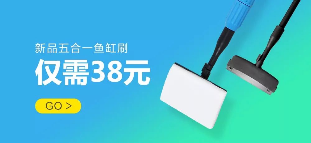 起起伏伏教程,海缸珊瑚的饲养